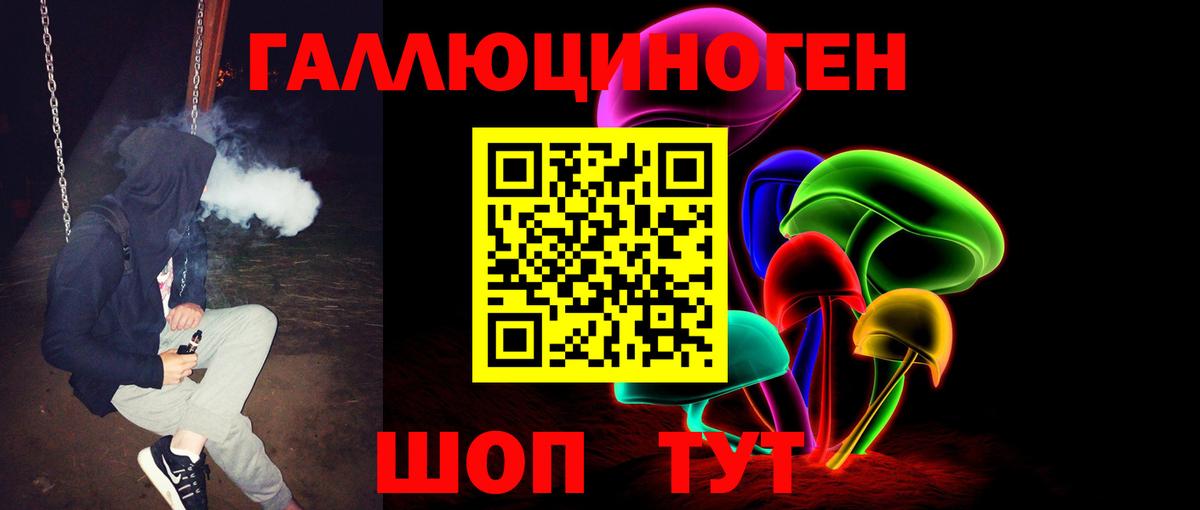 Новоалександровск  Псилоцибиновые грибы прущие грибы  Вход с VPN  Псилоцибиновые грибы Psilocybe 